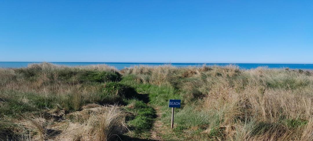 Photo of Others in Kaikoura