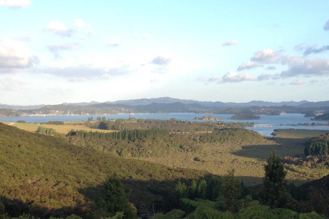 Photo of Others in Haruru
