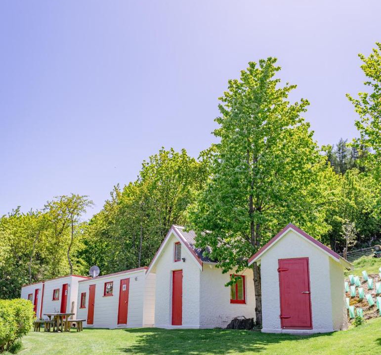 Photo of Others in Tekapo
