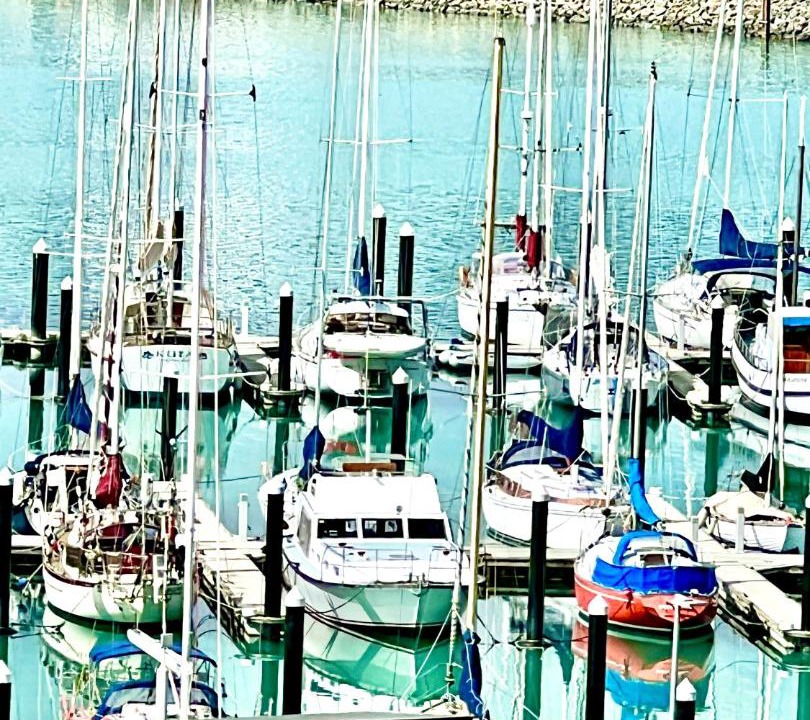 Photo of Others in Lyttelton