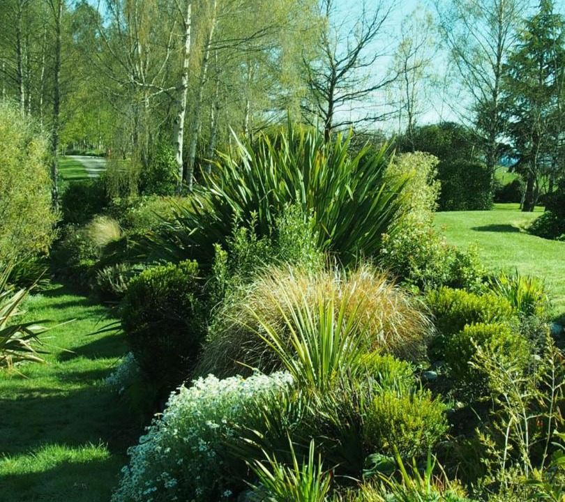 Photo of Others in Te Anau