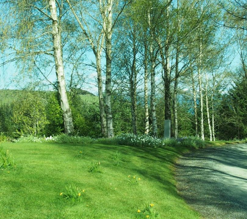 Photo of Others in Te Anau