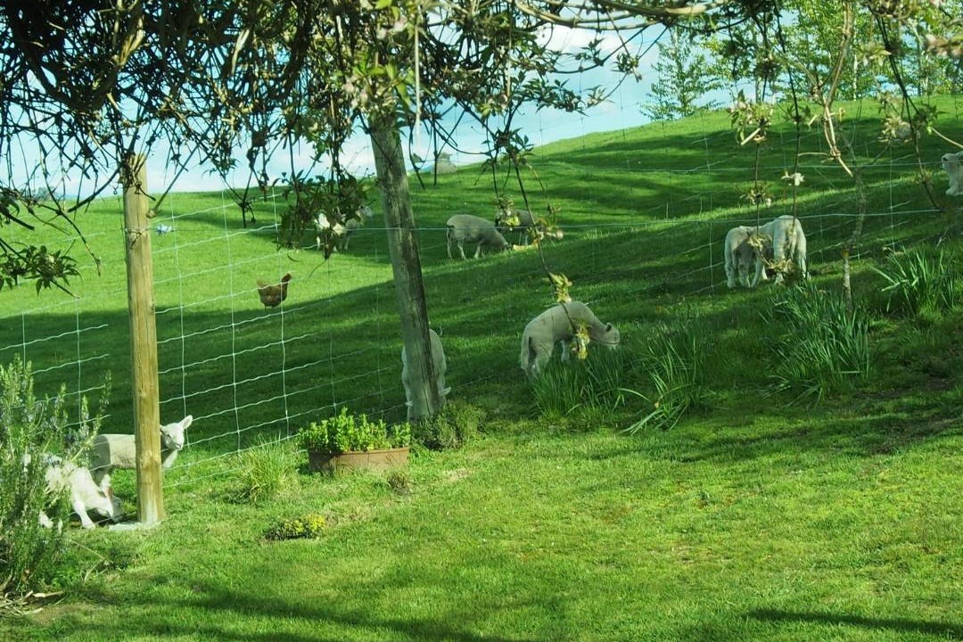 Photo of Others in Te Anau
