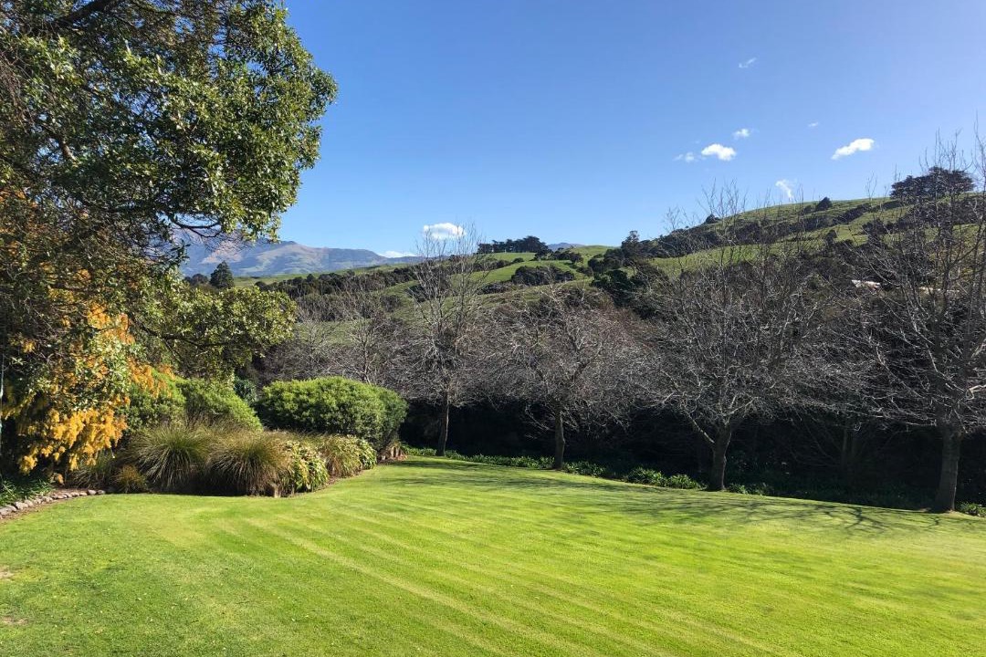 Photo of Others in Akaroa