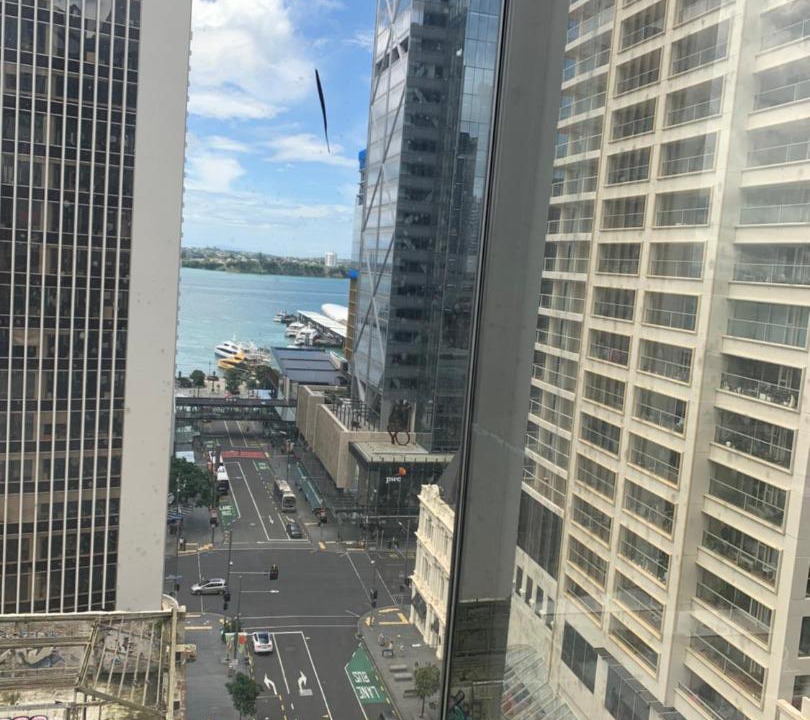 Photo of Others in Auckland Central Business District