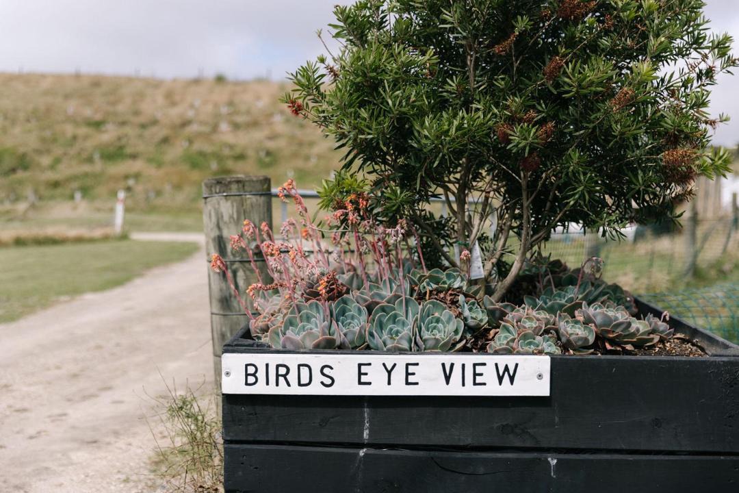 Photo of Others in Havelock North