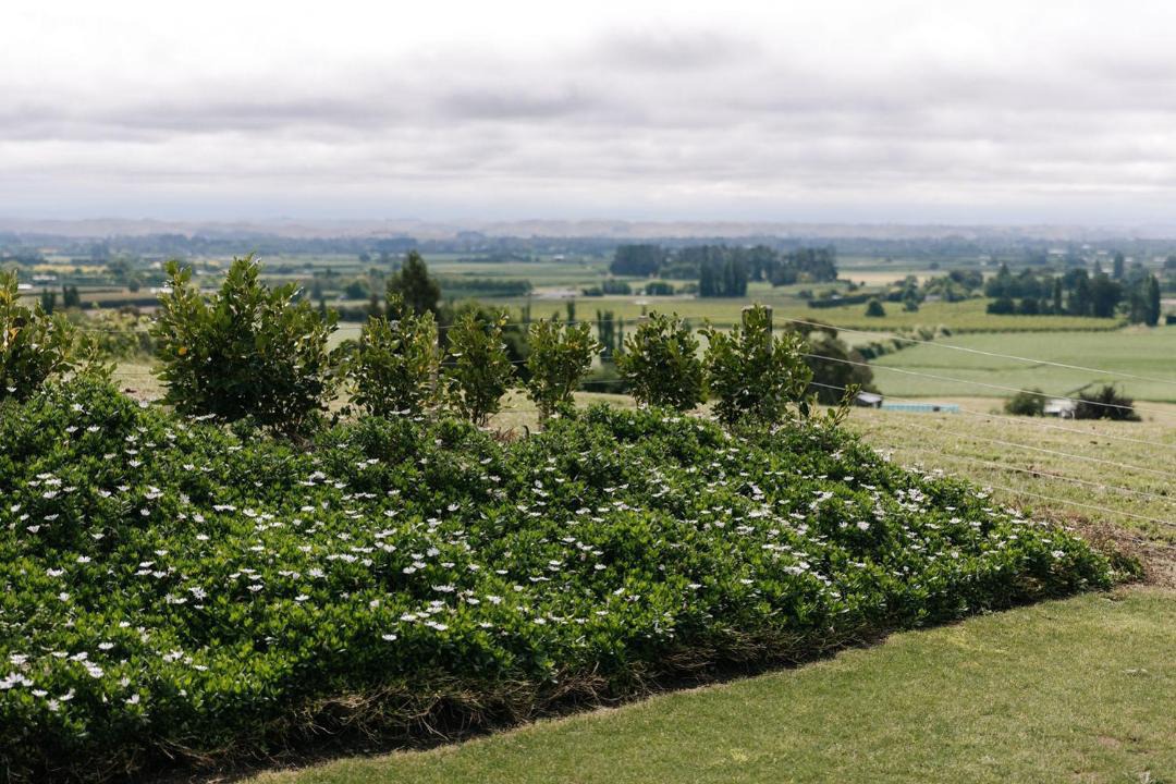 Photo of Others in Havelock North
