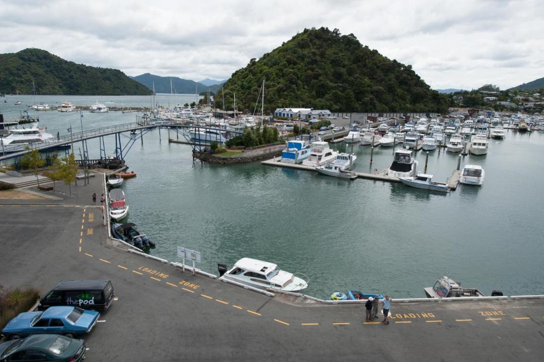 Photo of Others in Picton