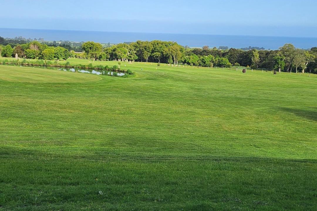 Photo of Others in Kaikoura