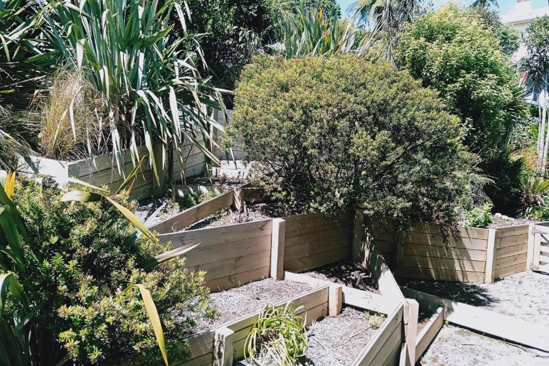 Photo of Others in Greymouth