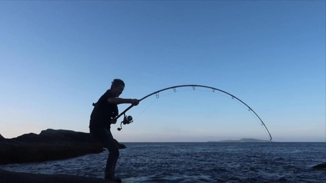 Photo of Others in Stanmore Bay