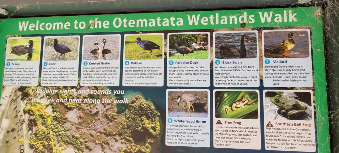 Photo of Others in Otematata