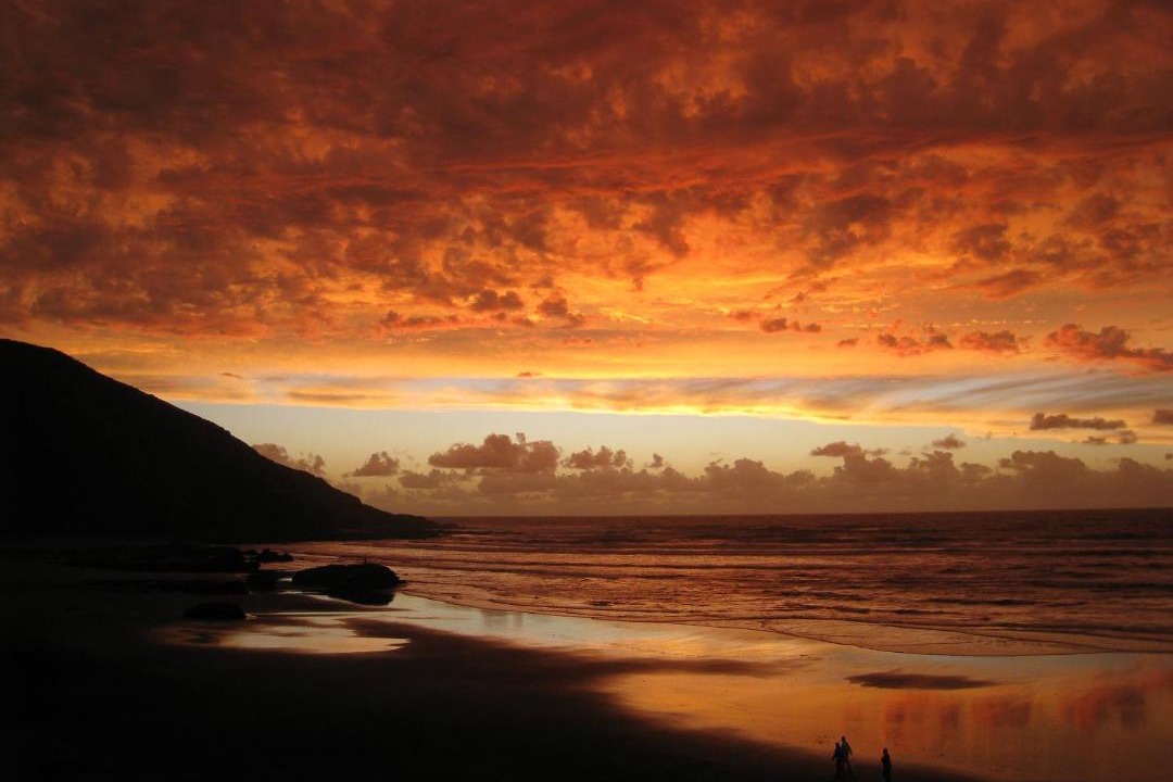 Photo of Others in Port Waikato