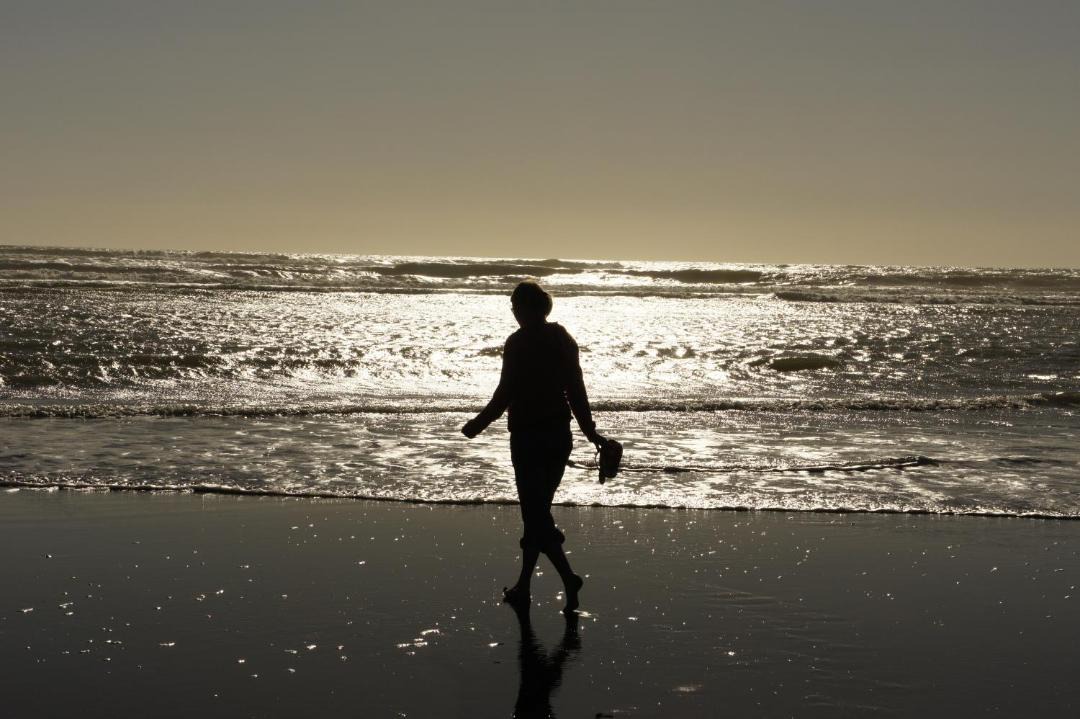 Photo of Others in Port Waikato
