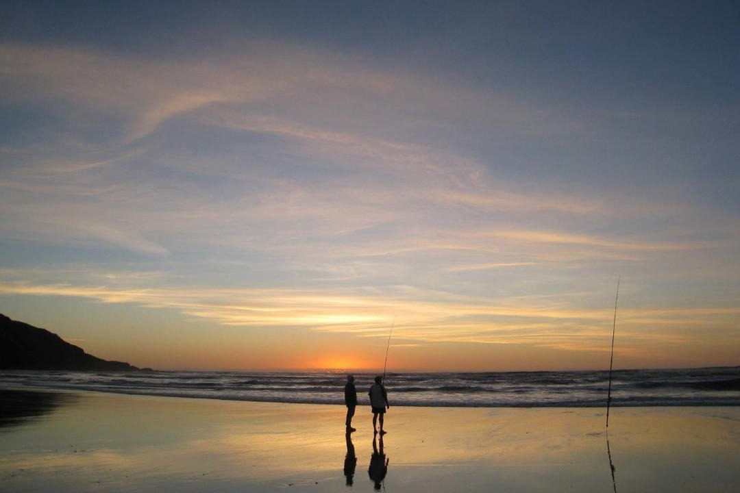 Photo of Others in Port Waikato