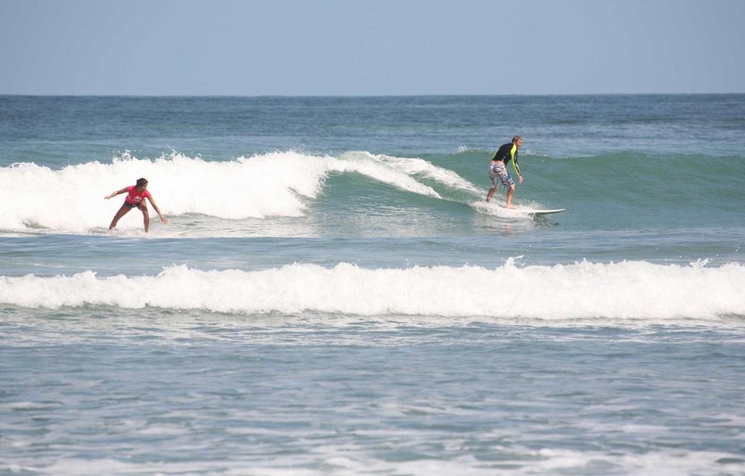 Photo of Others in Port Waikato
