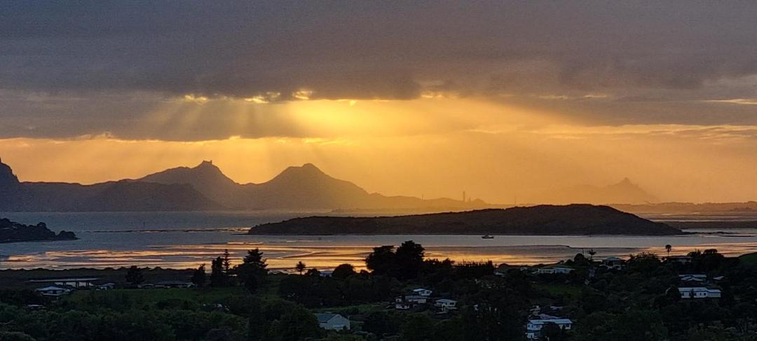 Photo of Others in Whangarei