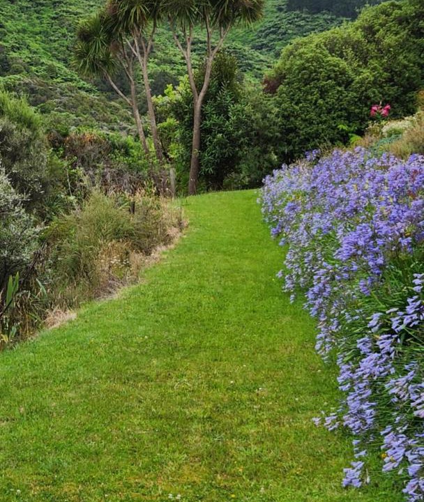 Photo of Others in Upper Hutt
