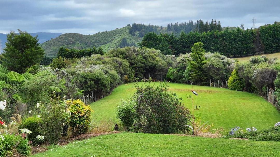 Photo of Others in Upper Hutt