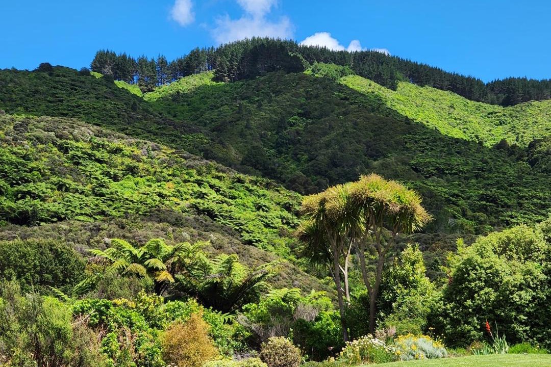 Photo of Others in Upper Hutt
