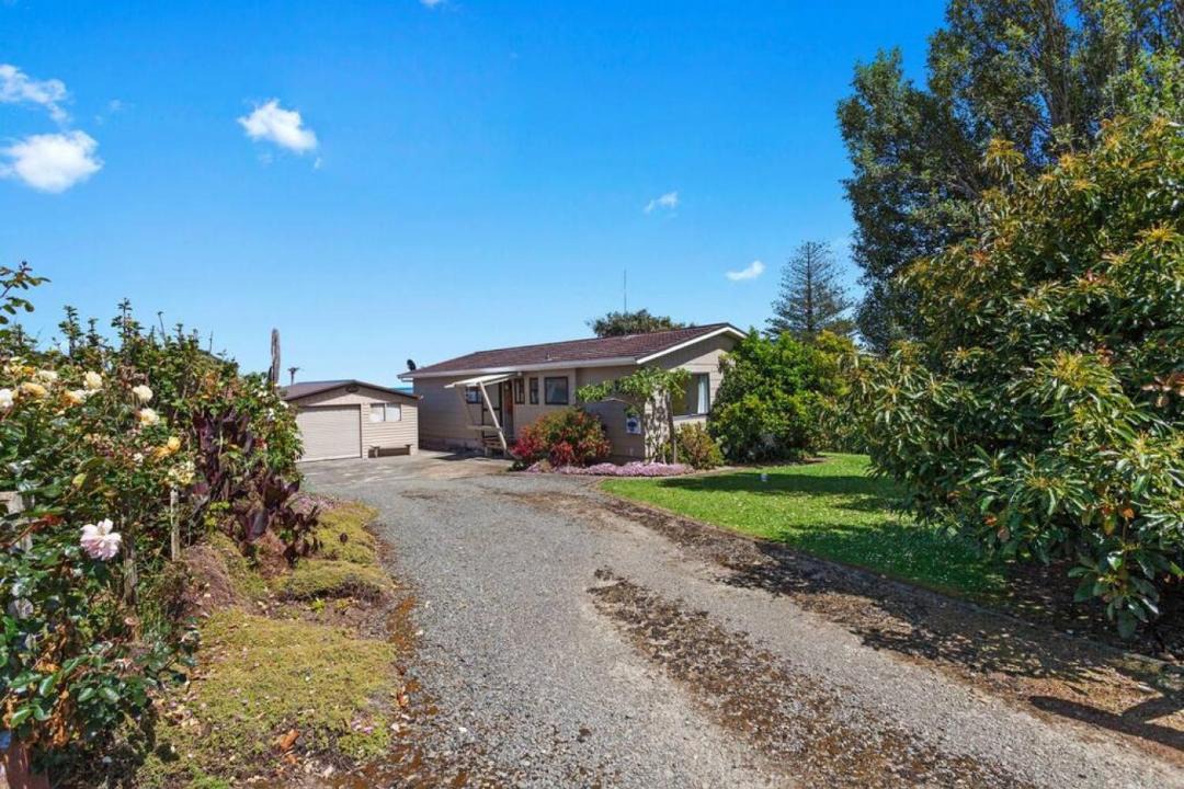 Photo of Others in Te Kaha