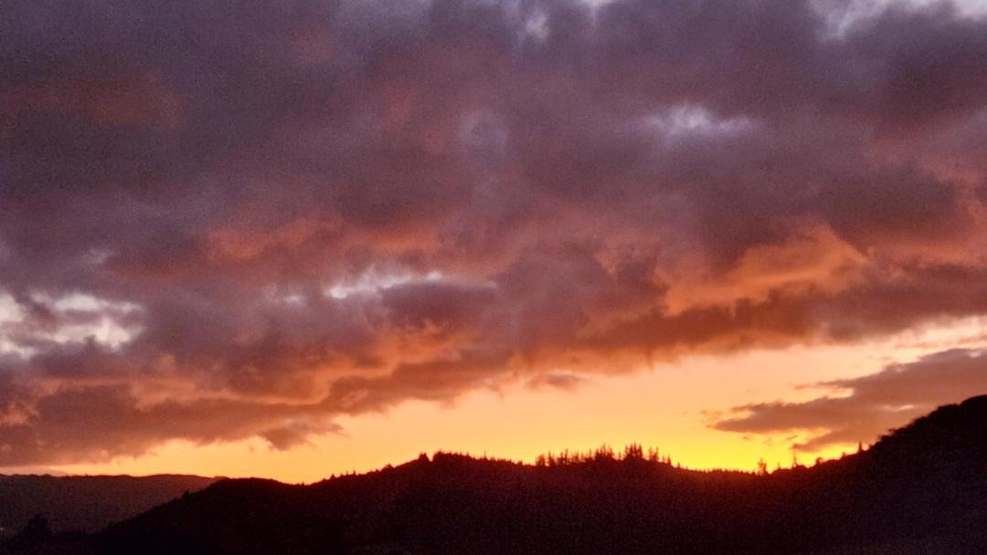 Photo of Others in Upper Hutt