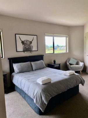 Photo of Bedroom in Blenheim