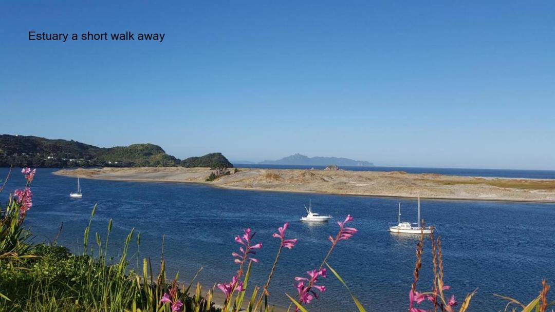 Photo of Others in Mangawhai Heads