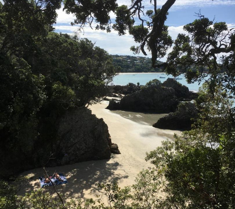 Photo of Others in Oneroa
