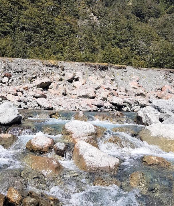 Photo of Others in Arthur's Pass