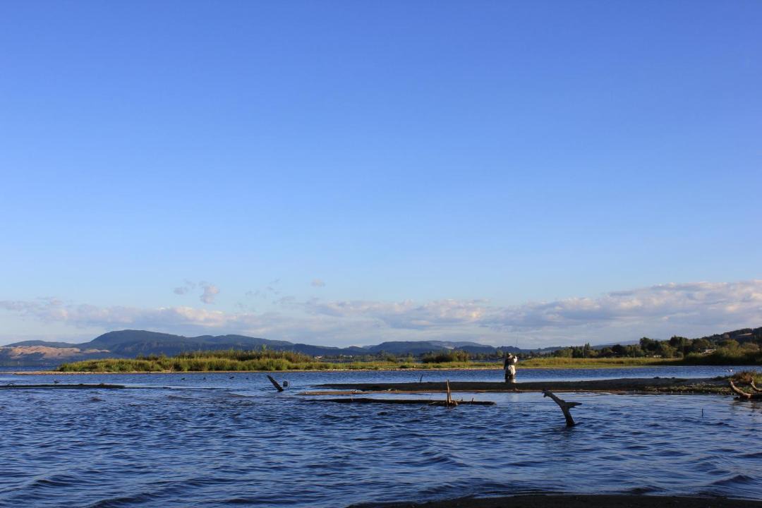 Photo of Others in Ngongotaha