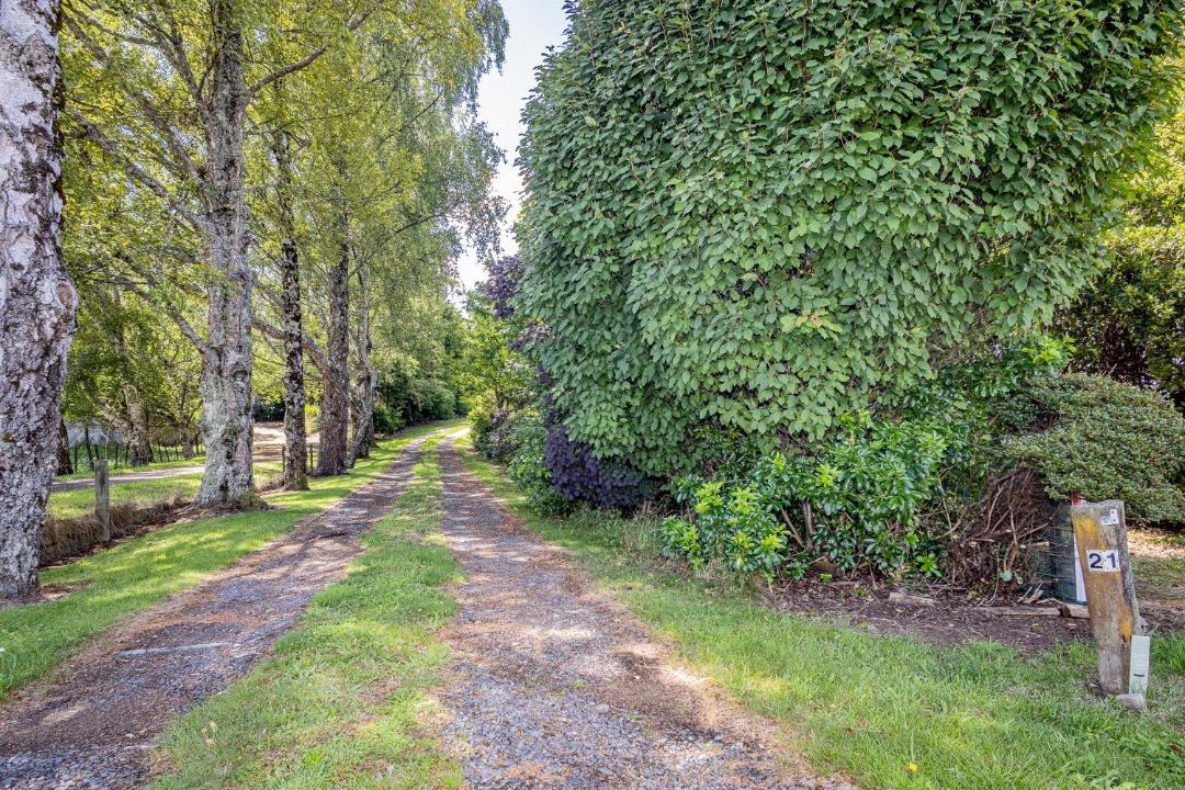 Photo of Others in Ohakune
