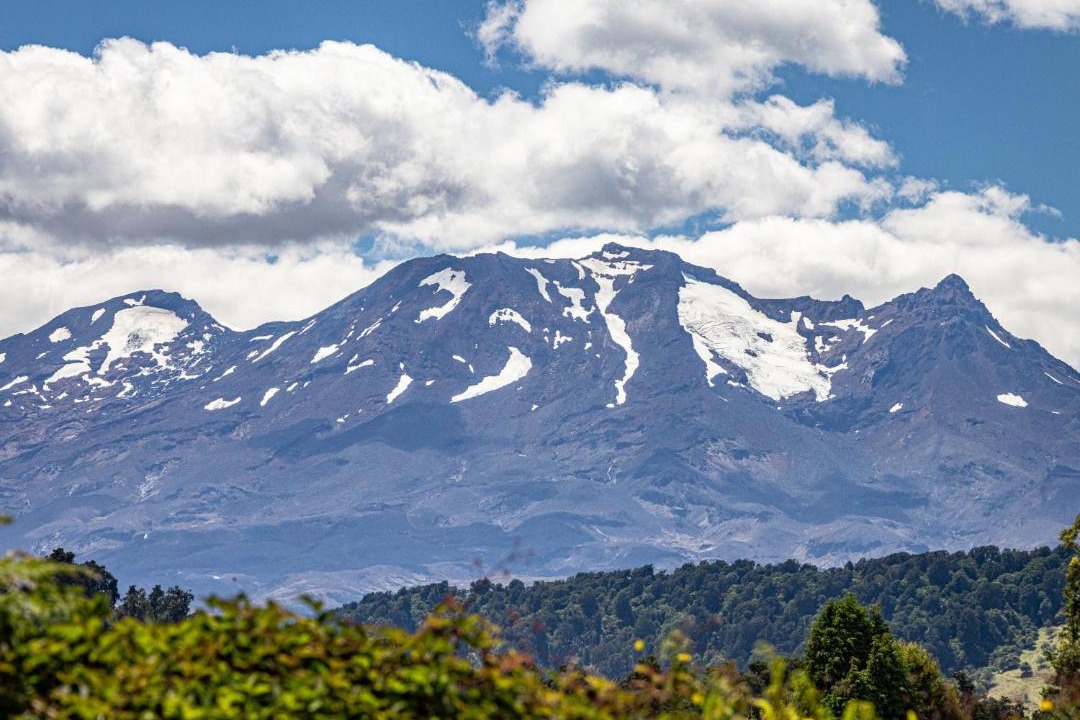 Photo of Others in Ohakune