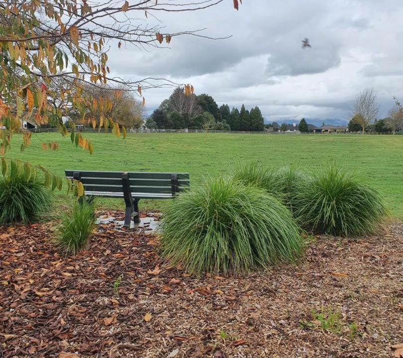 Photo of Others in Matamata