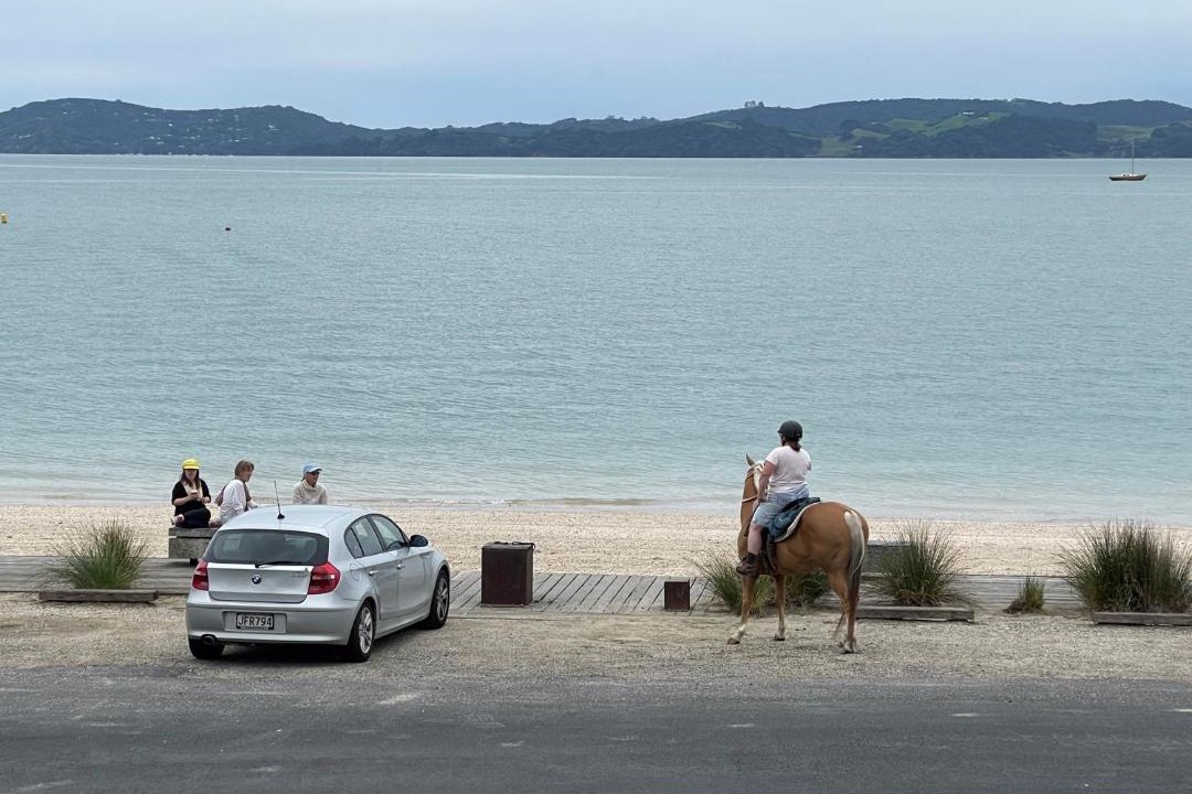 Photo of Others in Maraetai