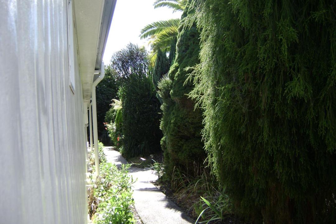 Photo of Others in Murchison