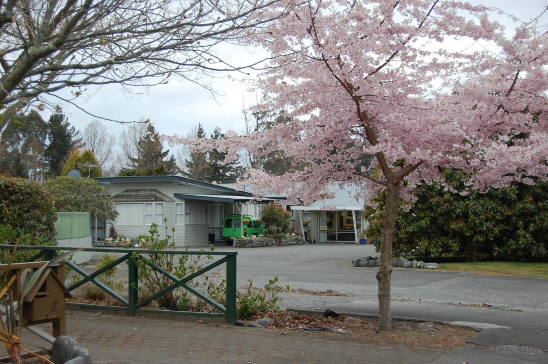 Photo of Others in Turangi