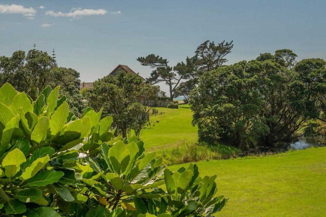 Photo of Others in Pauanui