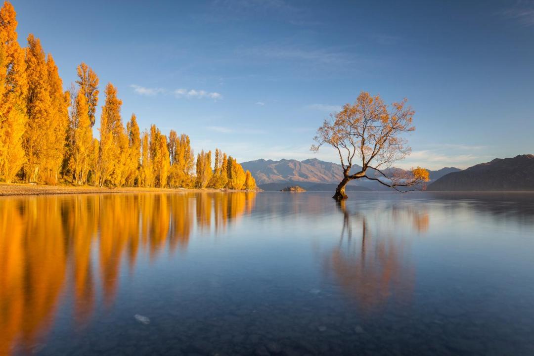Photo of Others in Wanaka