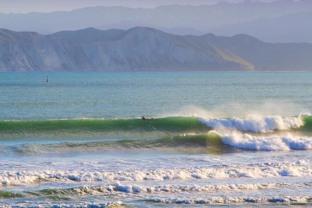Photo of Others in Gisborne