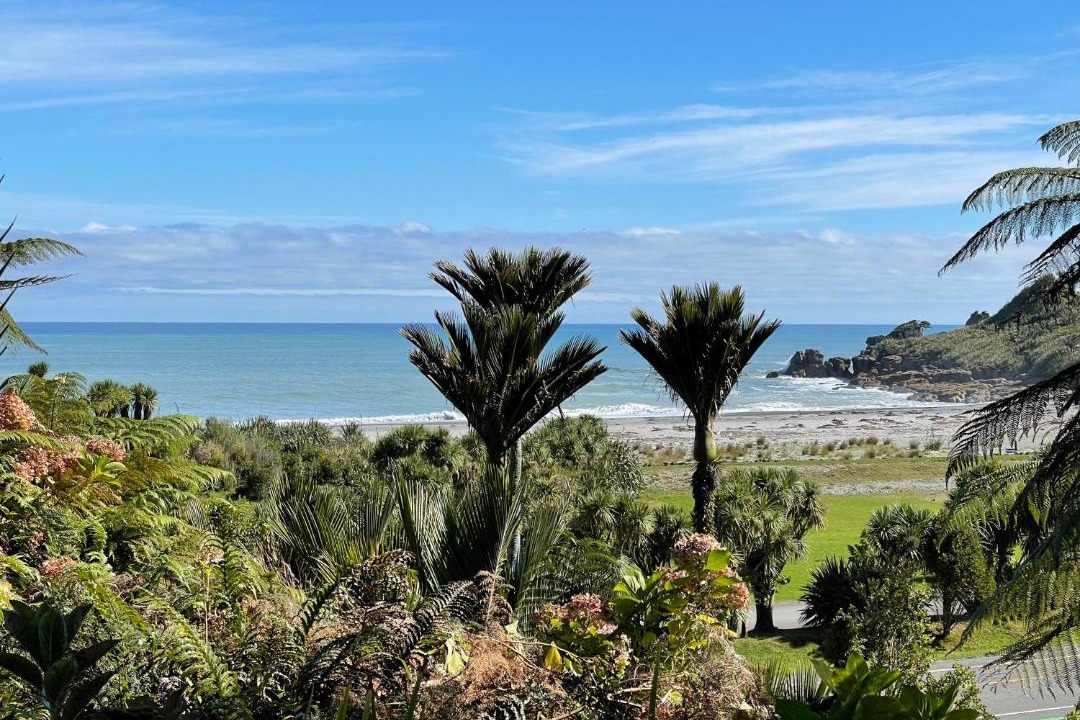 Photo of Others in Punakaiki