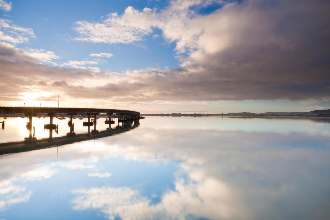 Photo of Others in Tauranga