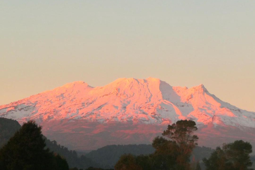 Photo of Others in Ohakune