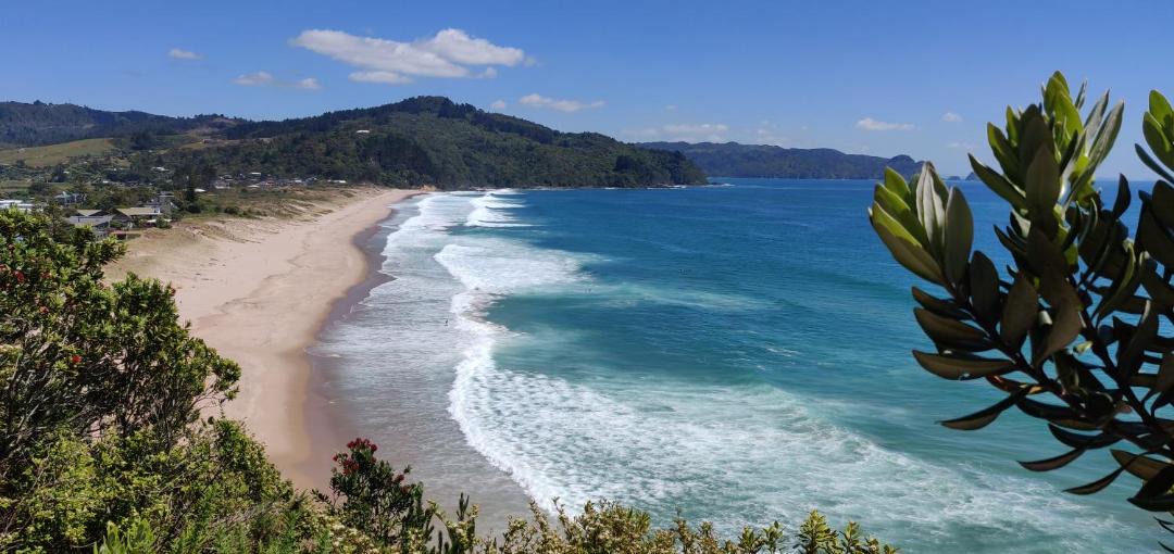 Photo of Others in Tairua