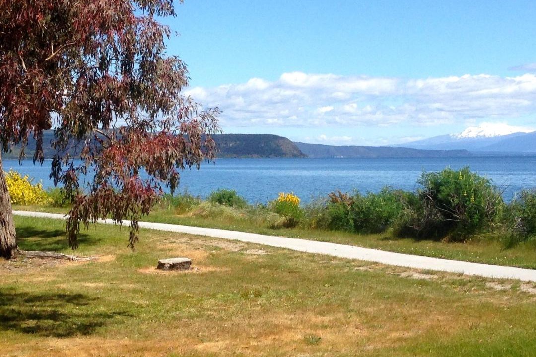 Photo of Others in Waitahanui