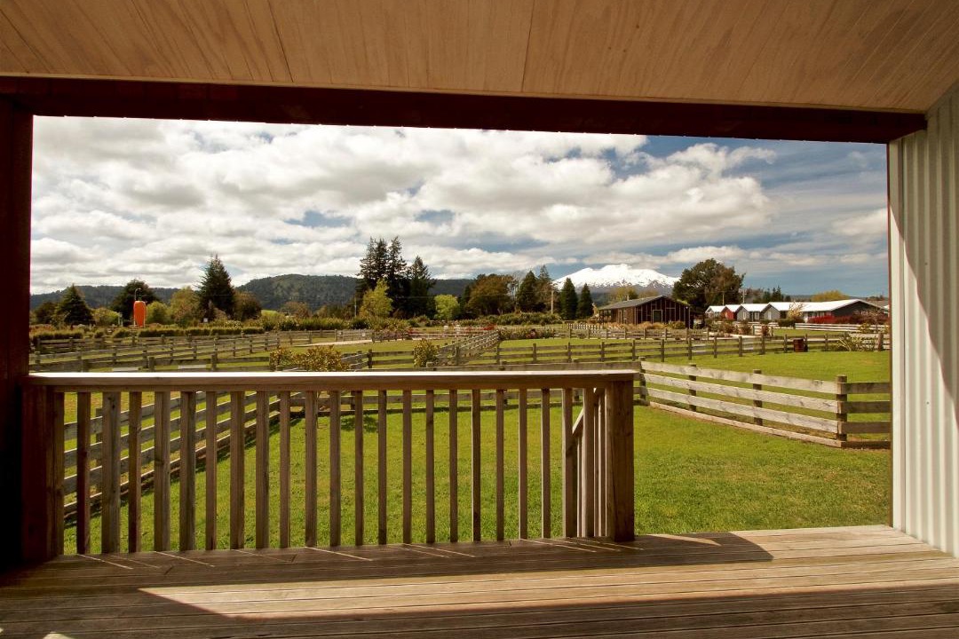 Photo of Others in Ohakune
