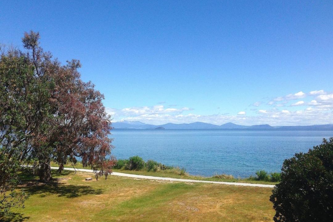 Photo of Others in Waitahanui
