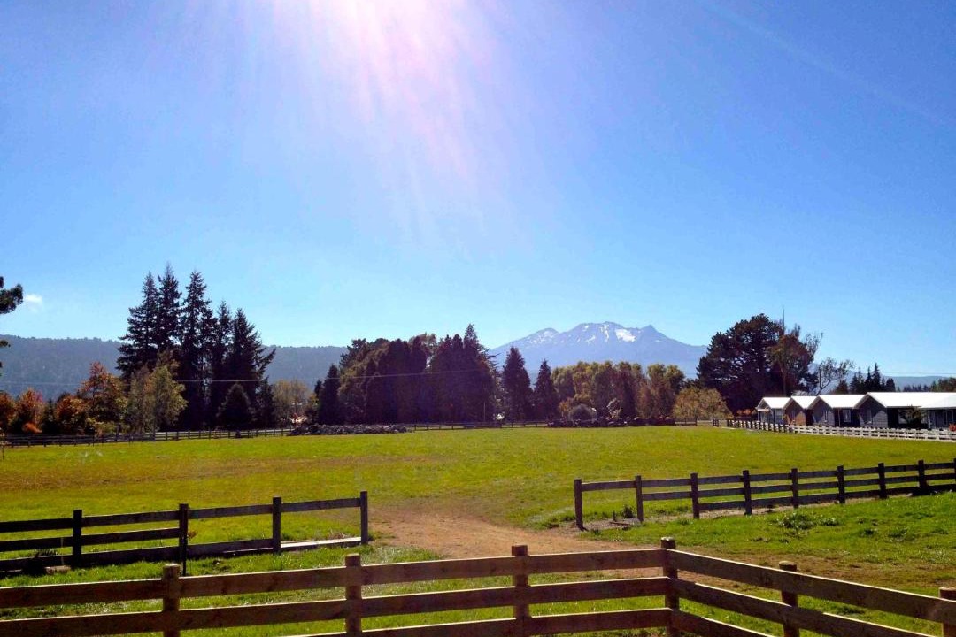 Photo of Others in Ohakune