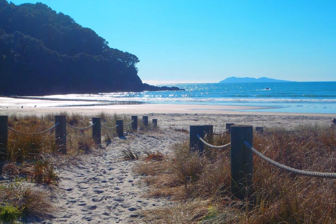 Photo of Others in Waihi Beach