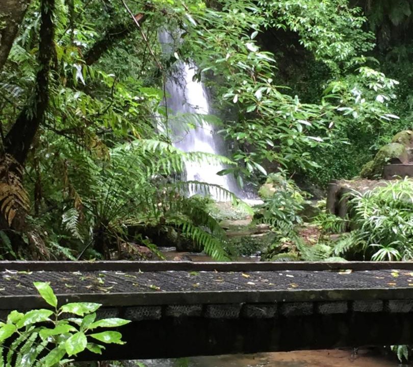 Photo of Others in Lower Kaimai